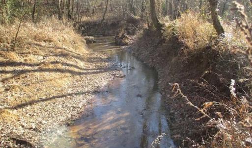 Photo of SOLD!!  63 Acres of Timber and Hunting Land For Sale in Caroline County VA!