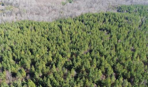 Photo of SOLD!!  63 Acres of Timber and Hunting Land For Sale in Caroline County VA!