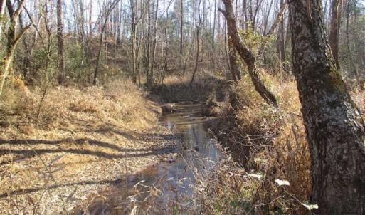 Photo of SOLD!!  63 Acres of Timber and Hunting Land For Sale in Caroline County VA!