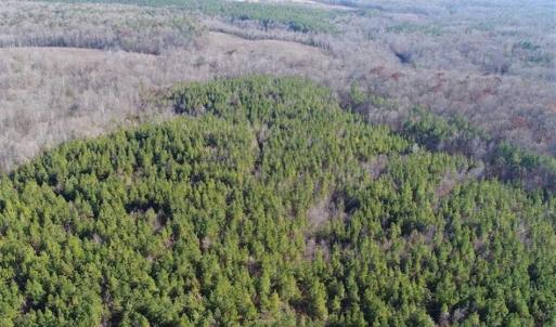 Photo of SOLD!!  63 Acres of Timber and Hunting Land For Sale in Caroline County VA!