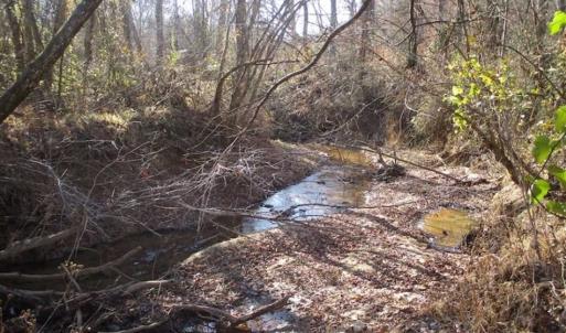 Photo of SOLD!!  63 Acres of Timber and Hunting Land For Sale in Caroline County VA!