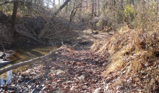 Photo of SOLD!!  63 Acres of Timber and Hunting Land For Sale in Caroline County VA!