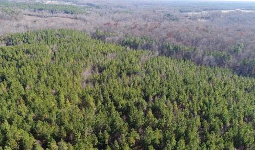 Photo of SOLD!!  63 Acres of Timber and Hunting Land For Sale in Caroline County VA!