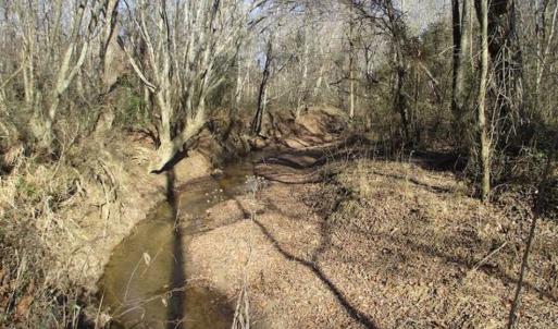Photo of SOLD!!  63 Acres of Timber and Hunting Land For Sale in Caroline County VA!