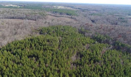 Photo of SOLD!!  63 Acres of Timber and Hunting Land For Sale in Caroline County VA!