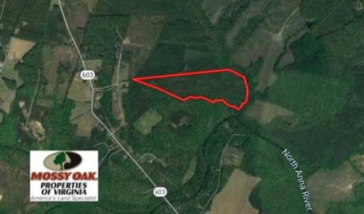 Photo of SOLD!!  63 Acres of Timber and Hunting Land For Sale in Caroline County VA!