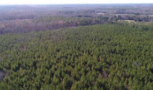 Photo of SOLD!!  63 Acres of Timber and Hunting Land For Sale in Caroline County VA!