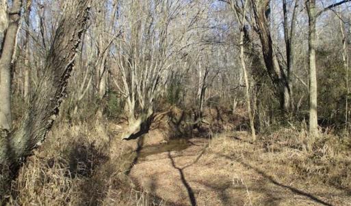 Photo of SOLD!!  63 Acres of Timber and Hunting Land For Sale in Caroline County VA!