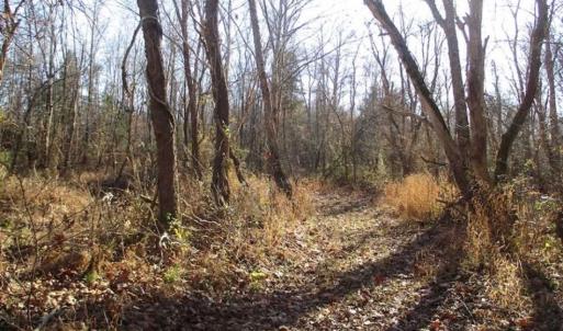 Photo of SOLD!!  63 Acres of Timber and Hunting Land For Sale in Caroline County VA!