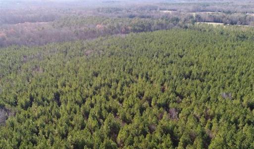 Photo of SOLD!!  63 Acres of Timber and Hunting Land For Sale in Caroline County VA!
