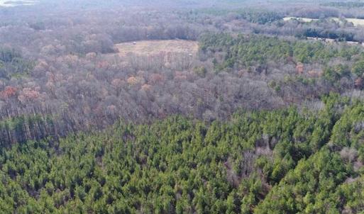 Photo of SOLD!!  63 Acres of Timber and Hunting Land For Sale in Caroline County VA!