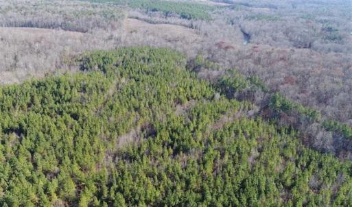 Photo of SOLD!!  63 Acres of Timber and Hunting Land For Sale in Caroline County VA!