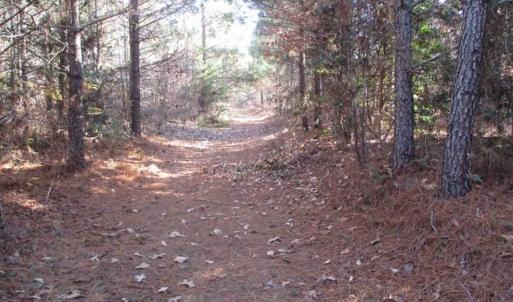 Photo of SOLD!!  63 Acres of Timber and Hunting Land For Sale in Caroline County VA!