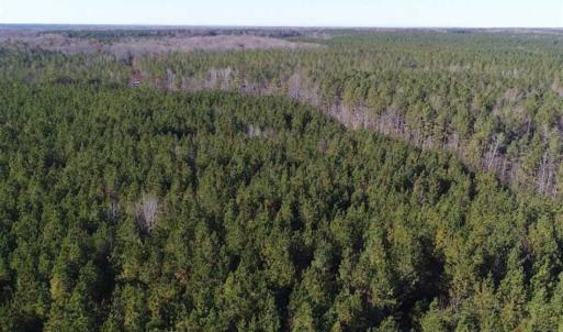 Photo of SOLD!!  63 Acres of Timber and Hunting Land For Sale in Caroline County VA!