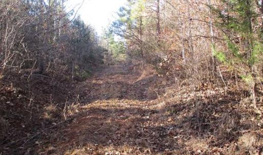 Photo of SOLD!!  63 Acres of Timber and Hunting Land For Sale in Caroline County VA!