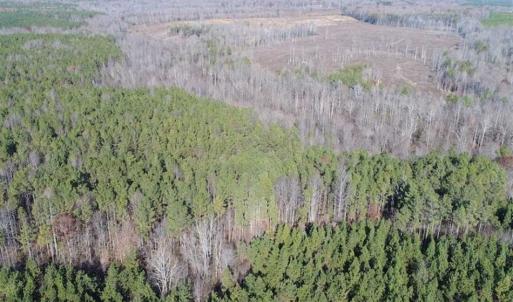 Photo of SOLD!!  63 Acres of Timber and Hunting Land For Sale in Caroline County VA!