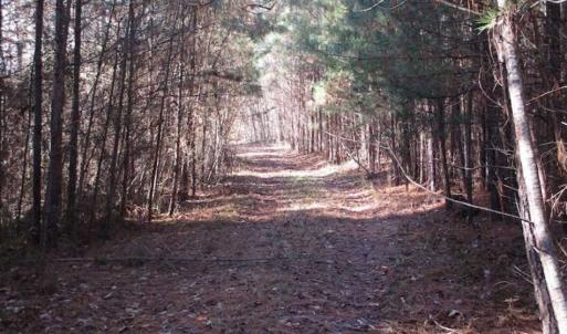 Photo of SOLD!!  63 Acres of Timber and Hunting Land For Sale in Caroline County VA!