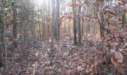 Photo of SOLD!!  63 Acres of Timber and Hunting Land For Sale in Caroline County VA!