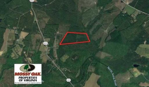 Photo of SOLD!!  63 Acres of Timber and Hunting Land For Sale in Caroline County VA!