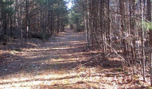 Photo of SOLD!!  63 Acres of Timber and Hunting Land For Sale in Caroline County VA!