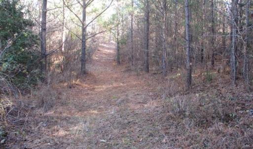 Photo of SOLD!!  63 Acres of Timber and Hunting Land For Sale in Caroline County VA!