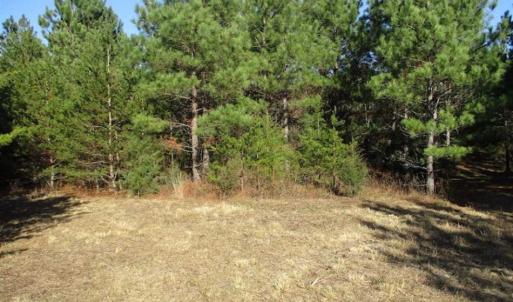 Photo of SOLD!!  63 Acres of Timber and Hunting Land For Sale in Caroline County VA!