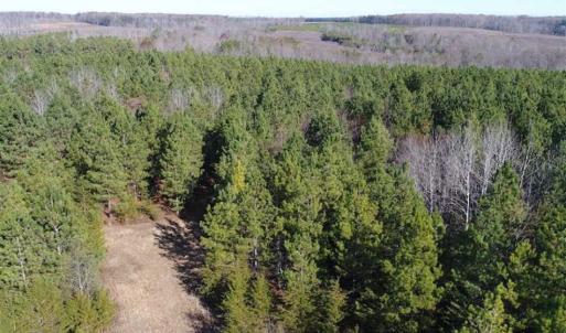 Photo of SOLD!!  63 Acres of Timber and Hunting Land For Sale in Caroline County VA!