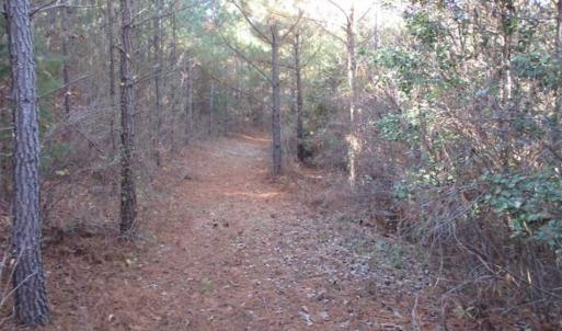 Photo of SOLD!!  63 Acres of Timber and Hunting Land For Sale in Caroline County VA!