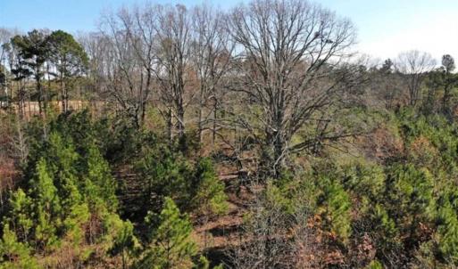 Photo of SOLD!  17 Acres of Hunting Land For Sale in Warren County NC!