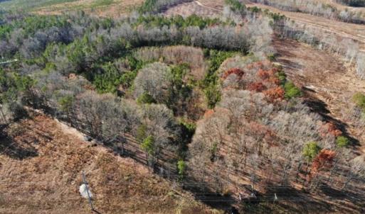 Photo of SOLD!  17 Acres of Hunting Land For Sale in Warren County NC!