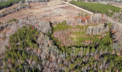 Photo of SOLD!  17 Acres of Hunting Land For Sale in Warren County NC!