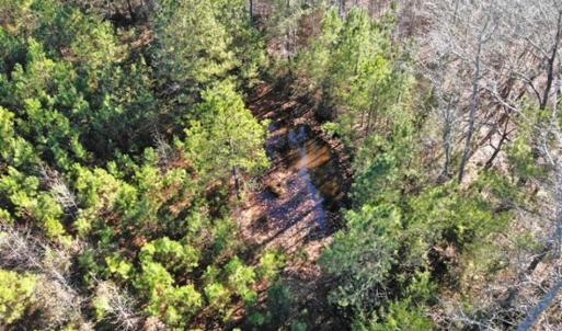 Photo of SOLD!  17 Acres of Hunting Land For Sale in Warren County NC!