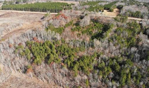 Photo of SOLD!  17 Acres of Hunting Land For Sale in Warren County NC!