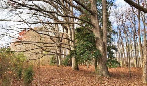 Photo of SOLD!  17 Acres of Hunting Land For Sale in Warren County NC!