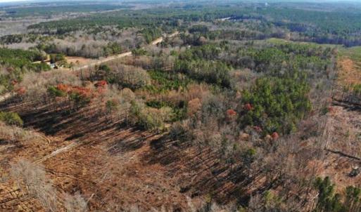 Photo of SOLD!  17 Acres of Hunting Land For Sale in Warren County NC!