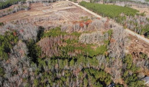 Photo of SOLD!  17 Acres of Hunting Land For Sale in Warren County NC!