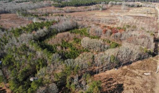 Photo of SOLD!  17 Acres of Hunting Land For Sale in Warren County NC!