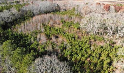 Photo of SOLD!  17 Acres of Hunting Land For Sale in Warren County NC!