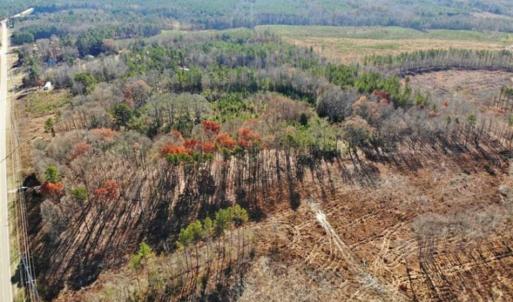 Photo of SOLD!  17 Acres of Hunting Land For Sale in Warren County NC!