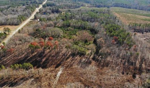 Photo of SOLD!  17 Acres of Hunting Land For Sale in Warren County NC!