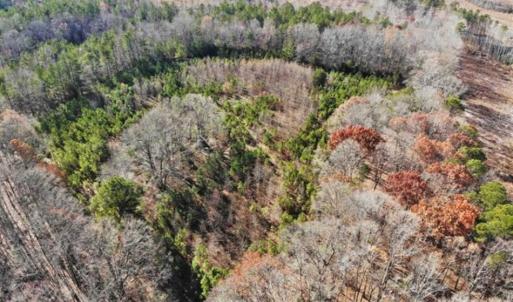 Photo of SOLD!  17 Acres of Hunting Land For Sale in Warren County NC!