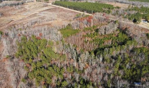 Photo of SOLD!  17 Acres of Hunting Land For Sale in Warren County NC!
