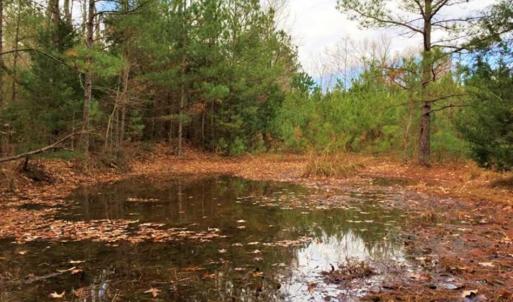 Photo of SOLD!  17 Acres of Hunting Land For Sale in Warren County NC!