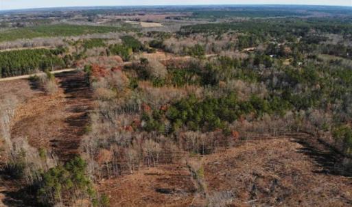 Photo of SOLD!  17 Acres of Hunting Land For Sale in Warren County NC!