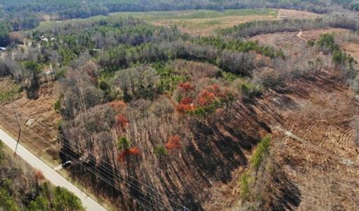 Photo of SOLD!  17 Acres of Hunting Land For Sale in Warren County NC!