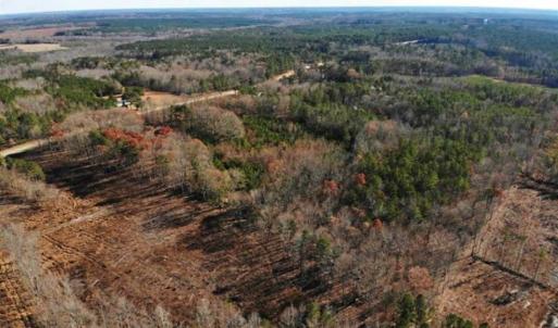 Photo of SOLD!  17 Acres of Hunting Land For Sale in Warren County NC!