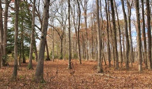 Photo of SOLD!  17 Acres of Hunting Land For Sale in Warren County NC!