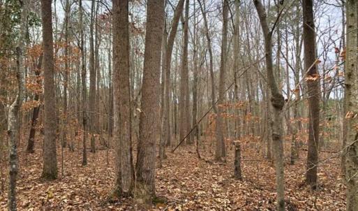 Photo of SOLD!  17 Acres of Hunting Land For Sale in Warren County NC!