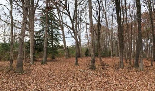 Photo of SOLD!  17 Acres of Hunting Land For Sale in Warren County NC!