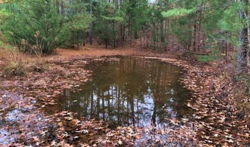 Photo of SOLD!  17 Acres of Hunting Land For Sale in Warren County NC!